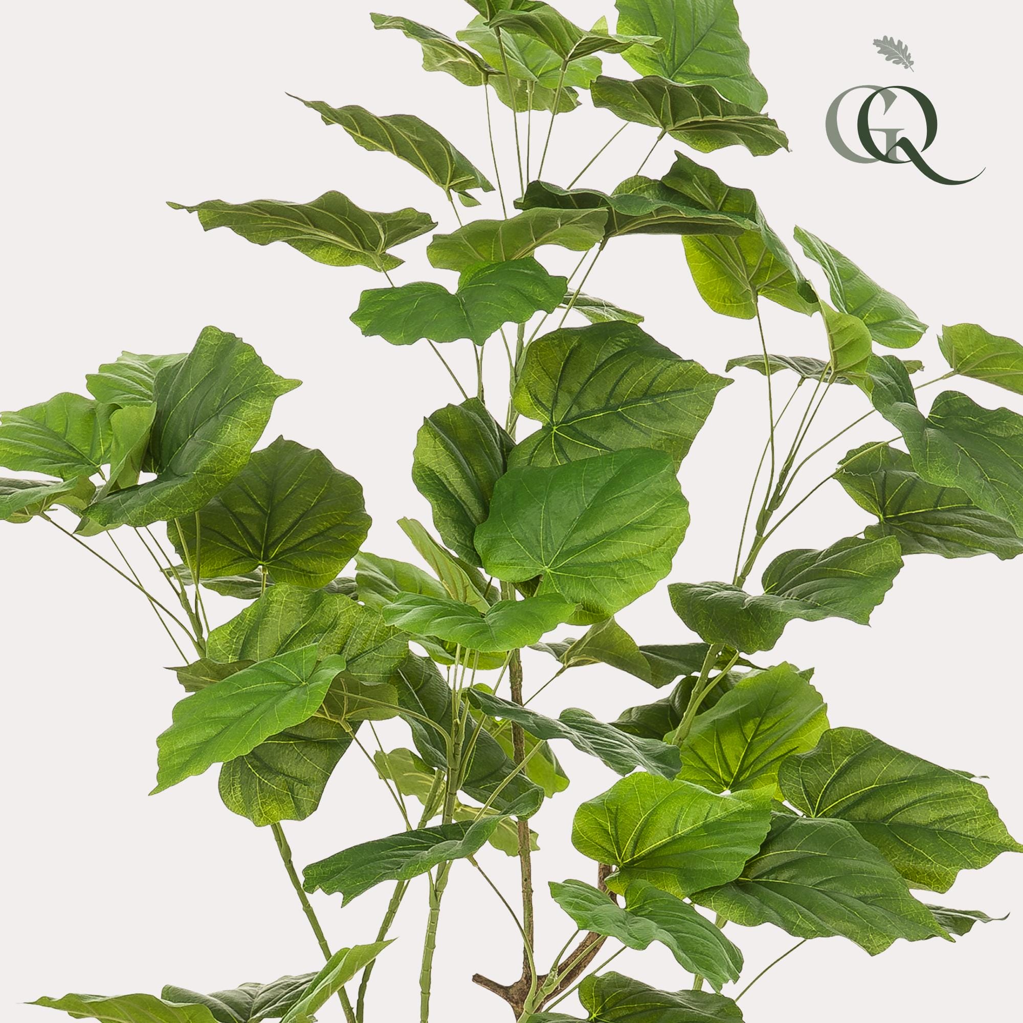 Kunstplant - Ficus Umbellate - Afrikaanse Vijg - 125Cm - Afbeelding 2