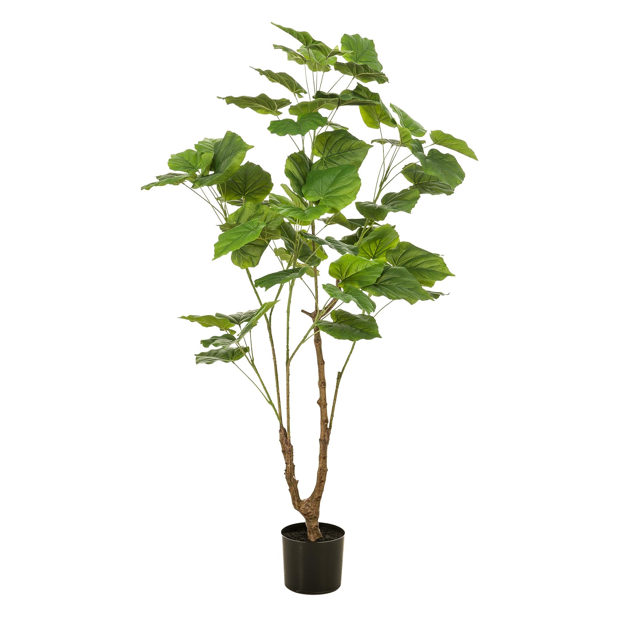 Kunstplant - Ficus Umbellate - Afrikaanse Vijg - 125Cm - Afbeelding 4