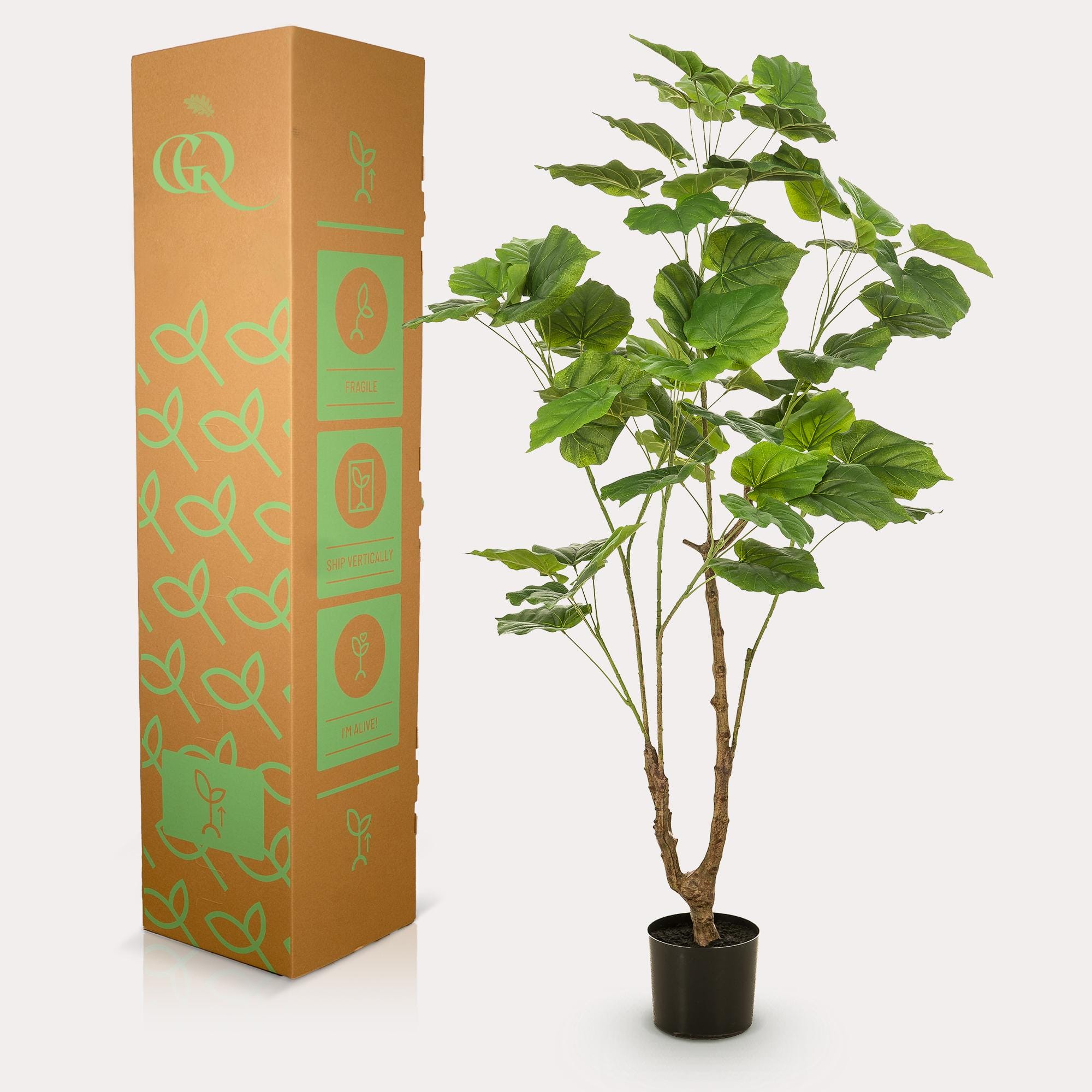 Kunstplant - Ficus Umbellate - Afrikaanse Vijg - 125Cm - Afbeelding 5