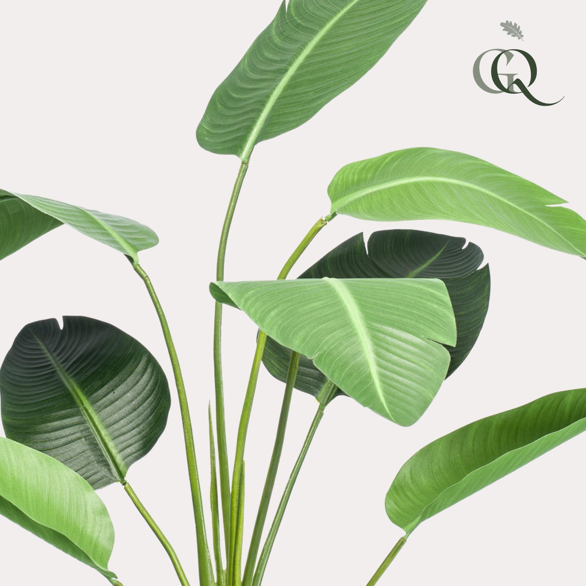 Kunstplant - Strelitzia Nicolai - Paradijsvogelbloem - 120Cm - Afbeelding 2