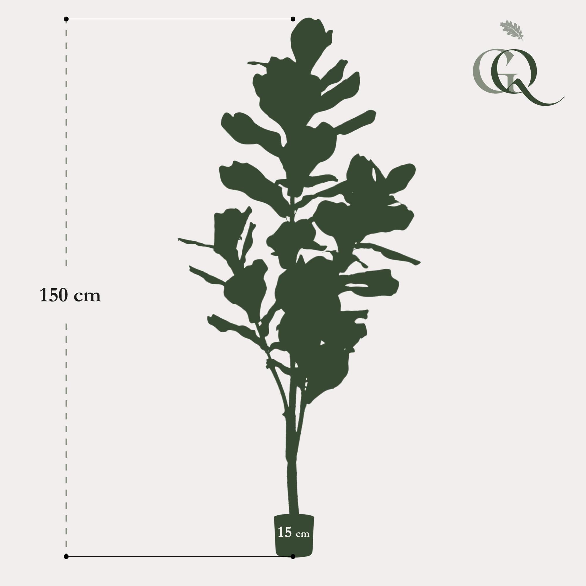 Kunstplant - Ficus Lyrata - Tabaksplant - 150Cm - Afbeelding 3