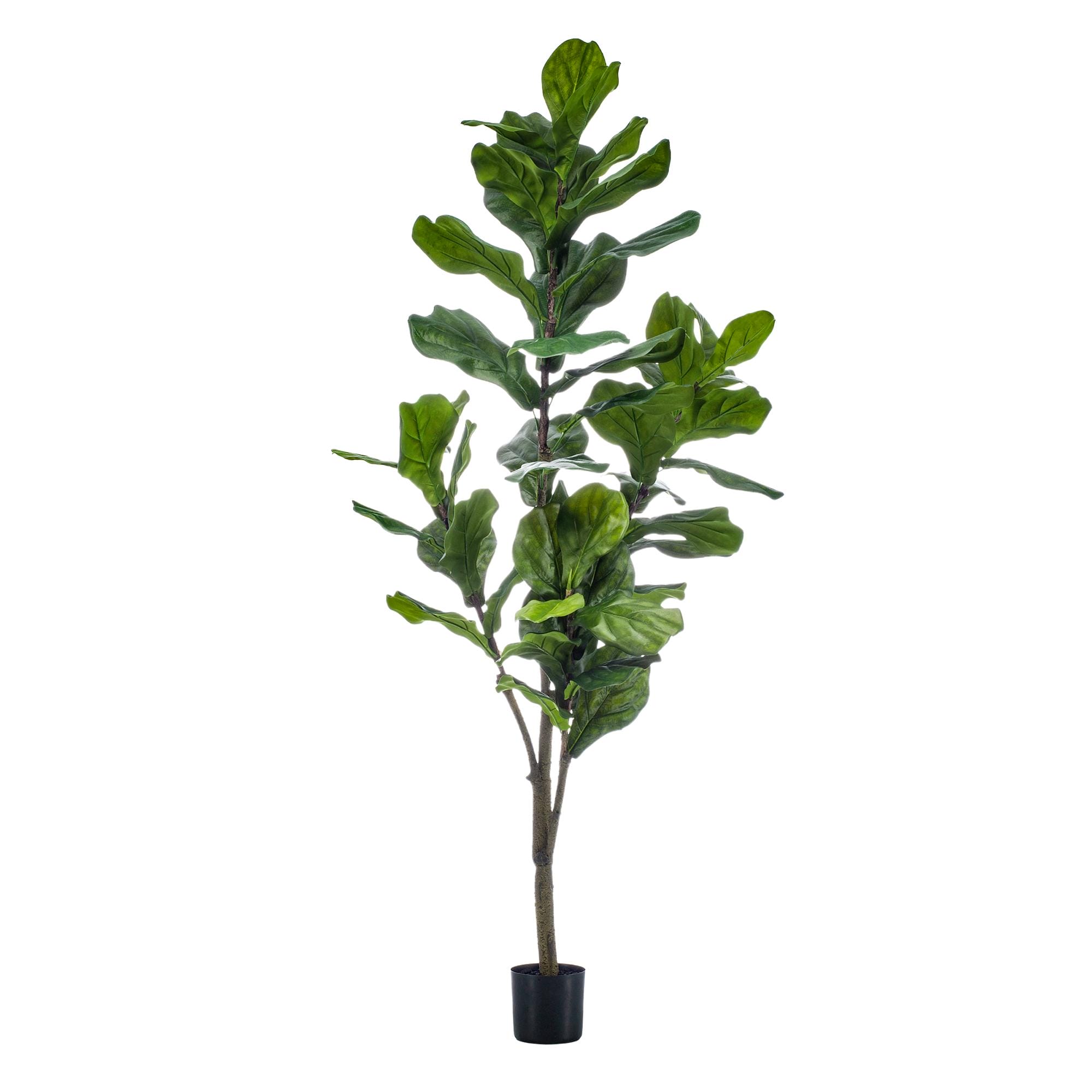 Kunstplant - Ficus Lyrata - Tabaksplant - 150Cm - Afbeelding 4