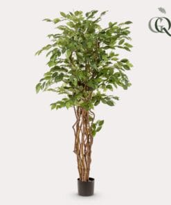 Kunstplant - Ficus Liana  - Vioolbladplant - 170Cm