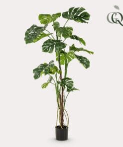 Kunstplant - Monstera  - Gatenplant - 180Cm