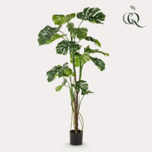 Kunstplant - Monstera  - Gatenplant - 180Cm