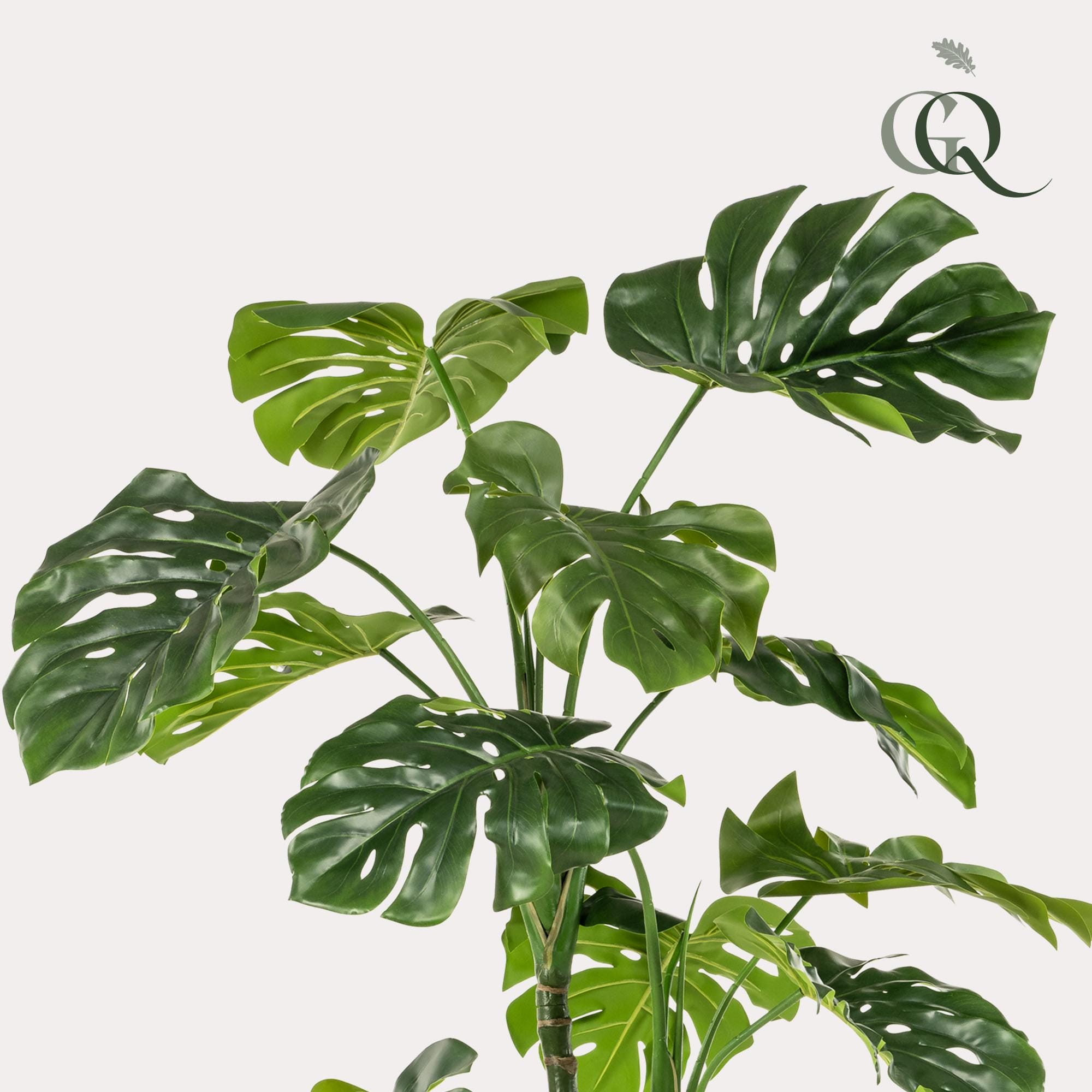Kunstplant - Monstera - Gatenplant - 180Cm - Afbeelding 2