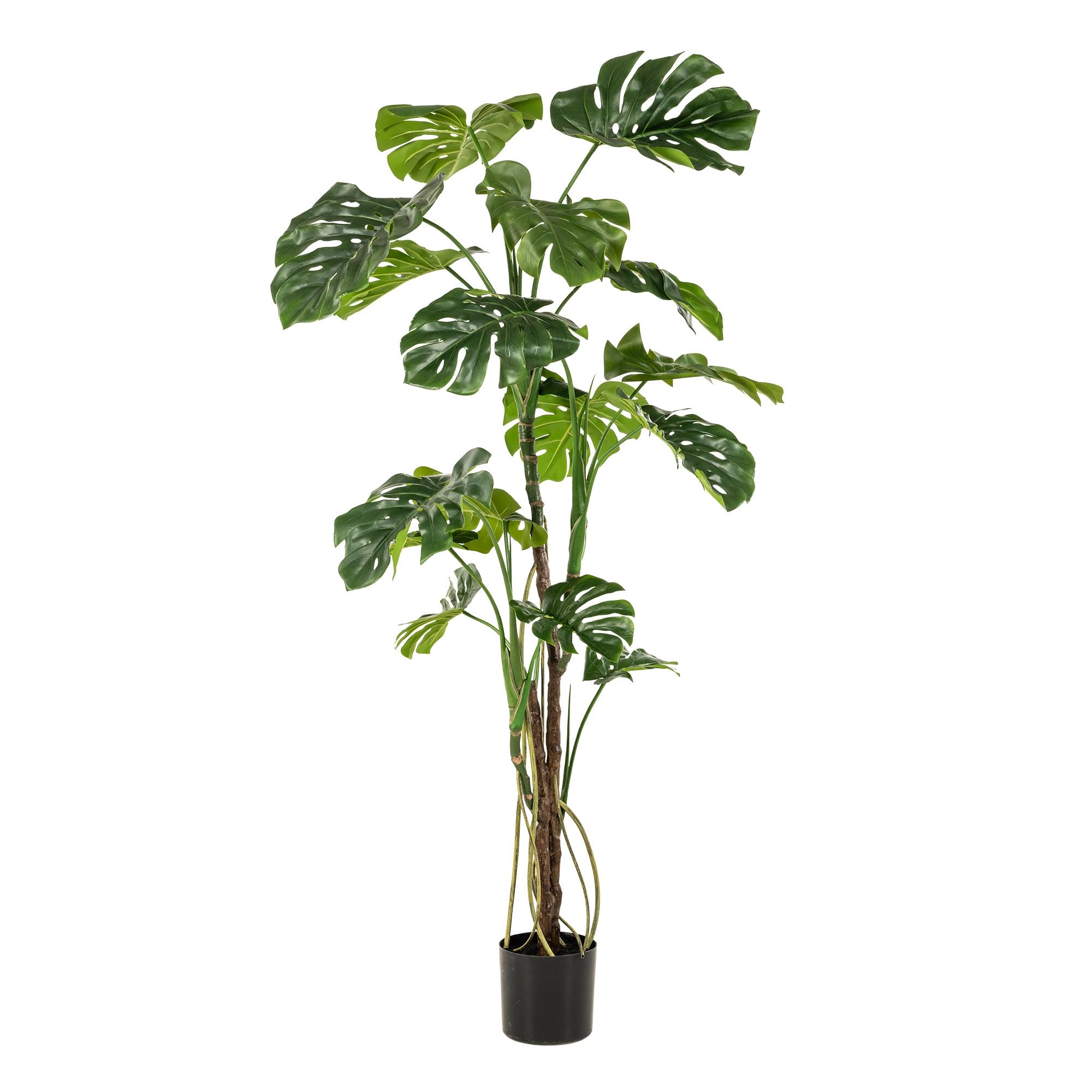 Kunstplant - Monstera - Gatenplant - 180Cm - Afbeelding 5