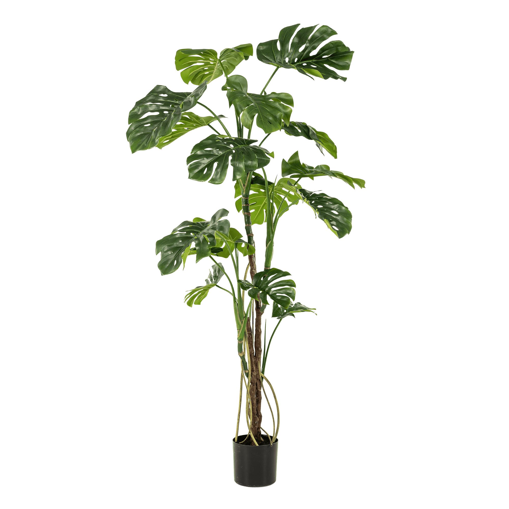 Kunstplant - Monstera - Gatenplant - 180Cm - Afbeelding 6