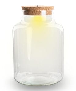 Terrarium Fles Met Kurk - Little Milky Met Led Kurk - Gesloten Groot Terrarium ↑ 24.5 Cm