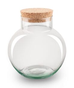 Terrarium Fles Met Kurk - Noah - ↑ 20 Cm