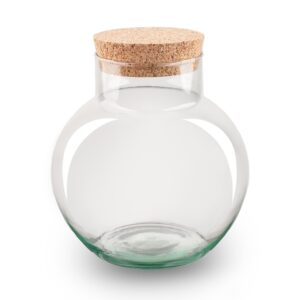 Terrarium Fles Met Kurk - Noah - ↑ 20 Cm