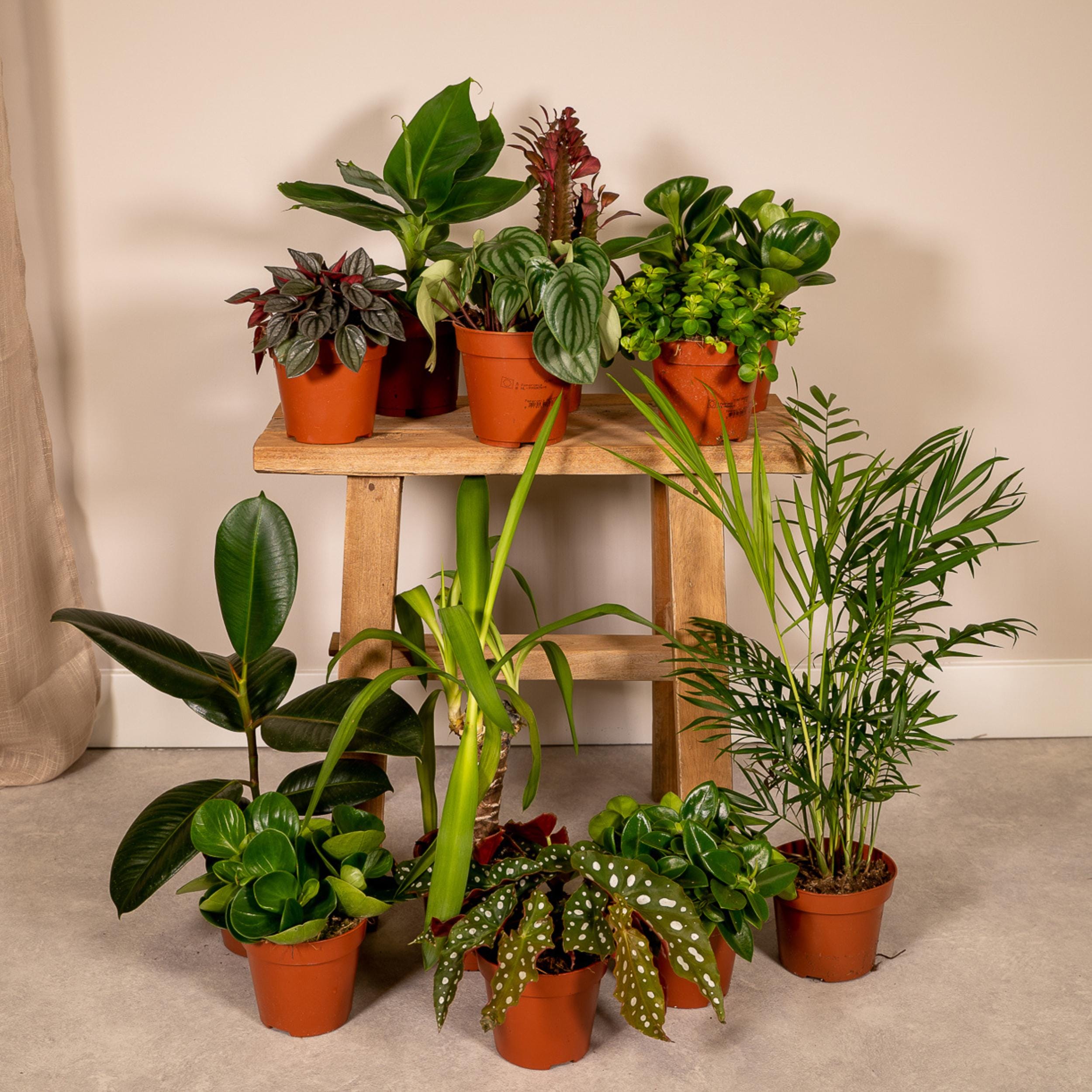 Buitenbeentjesbox - Afbeelding 3