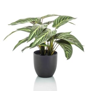 Calathea Zebrina In Zwarte Pot - 42 Cm Hoog - Kunstplant