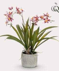 Kunstplant - Orchidee - Bordeaux - 45Cm