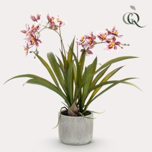 Kunstplant Orchidee bordeaux – levensechte kunstorchidee – ±45 cm