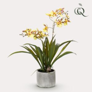 Kunstorchidee geel – onderhoudsvrije kunstplant – ±45 cm