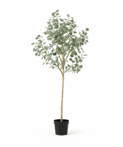 Artificial Eucalyptus - 180Cm