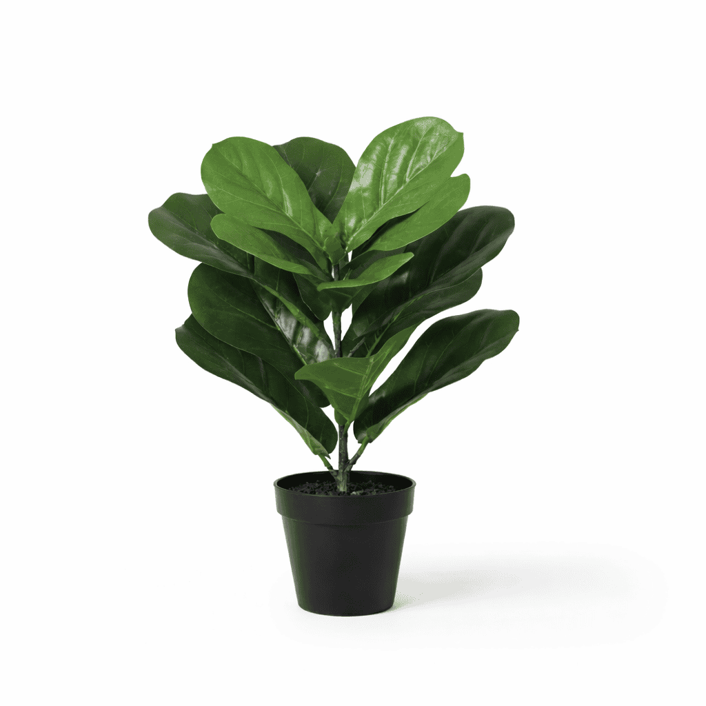 Artificial Ficus Lyrata - 40Cm