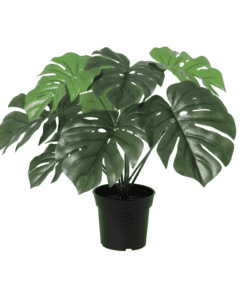 Artificial Monstera Deliciosa - 45Cm