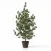 Dennenboom (Cedar Pine) 120 Cm – Kunstplant In Pot - Artificial