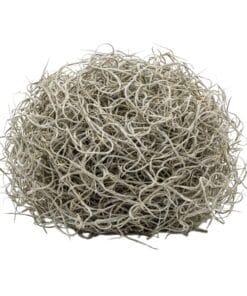 Gedroogd Tillandsia Mos – 1L – Alleen Voor Decoratief Gebruik