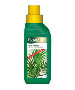 Pokon GPPL palm 250 ml