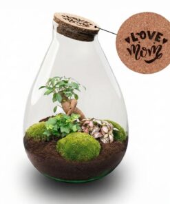 'Love Mom' Terrarium Drop Xl + Gegraveerde Kurk - Fles Terrarium Diy Kit – Ø 24 Cm ↑ 37 Cm - Moederdag
