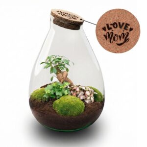 Love Mom Terrarium Drop XL met gegraveerde kurk – doe-het-zelf – pot 24 cm, ±37 cm