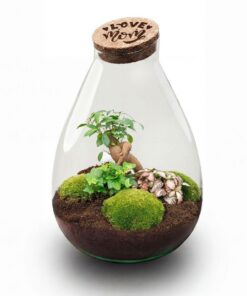 'Love Mom' Terrarium Drop Xl + Gegraveerde Kurk - Fles Terrarium Diy Kit – Ø 24 Cm ↑ 37 Cm - Moederdag - Afbeelding 2