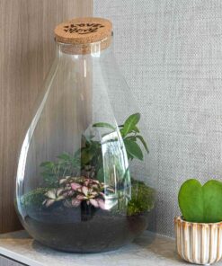 'Love Mom' Terrarium Drop Xl + Gegraveerde Kurk - Fles Terrarium Diy Kit – Ø 24 Cm ↑ 37 Cm - Moederdag - Afbeelding 4