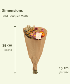 Droogbloemen Field Bouquet Multi - Afbeelding 2