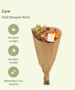 Droogbloemen Field Bouquet Multi - Afbeelding 3