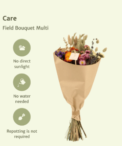 Droogbloemen Field Bouquet Multi - Afbeelding 3