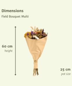 Droogbloemen Field Bouquet Multi - Afbeelding 2