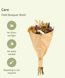 Droogbloemen Field Bouquet Multi - Afbeelding 3
