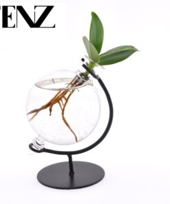Clusia In Victoria Glas - Ø5Cm - ↕10Cm