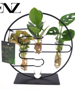 Kamerplantenmix in glazen pot (Diverse soorten) – sfeervol arrangement – ±12 cm