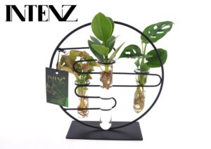 Kamerplantenmix in glazen pot – kant-en-klaar arrangement – ±12 cm