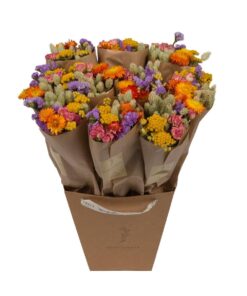 Droogbloemen boeket (Diverse soorten gedroogde bloemen) – handgebonden – ±50 cm