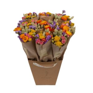 Droogbloemen boeket (Diverse soorten gedroogde bloemen) – handgebonden – ±50 cm