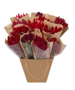 Droogbloemen Dried Mono Mix Rood – ±50 cm