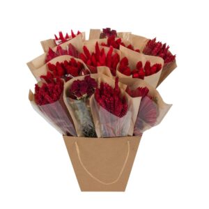 Droogbloemen Dried Mono Mix Rood – ±50 cm