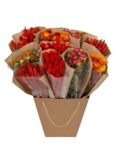 Droogbloemen Dried Mono Mix (diverse gedroogde soorten (mix)) – ±50 cm