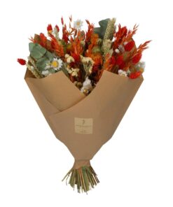 Droogbloemen - Classic Bouquet - Orange - 4 Boeketten - ↕60Cm