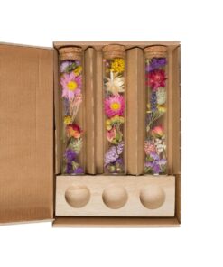Droogbloemen - Message In A Box Large - Multi - 8 Stuks - ↕15Cm