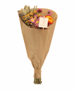 Droogbloemen Field Bouquet Multi