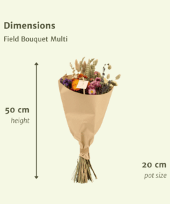 Droogbloemen Field Bouquet Multi - Afbeelding 2