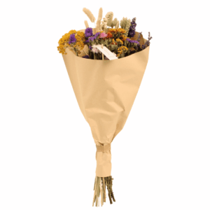 Droogbloemen Field Bouquet Multi